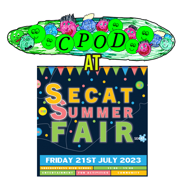 SECat Summer Fair